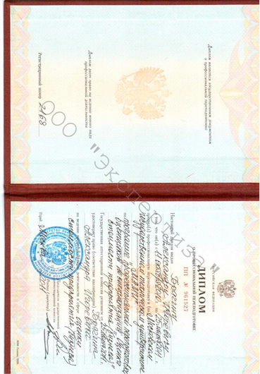 Диплом Брагин